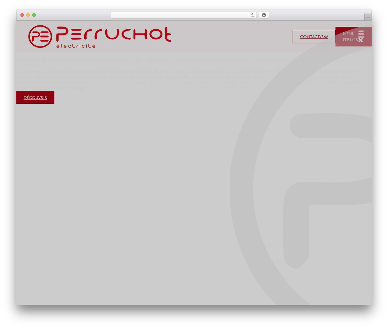 Theme WordPress Netdev Thème Gutenberg Child - perruchotelec.com