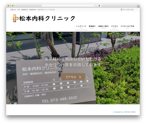 Lightning video unit WordPress plugin - matsumoto-medical-clinic.com