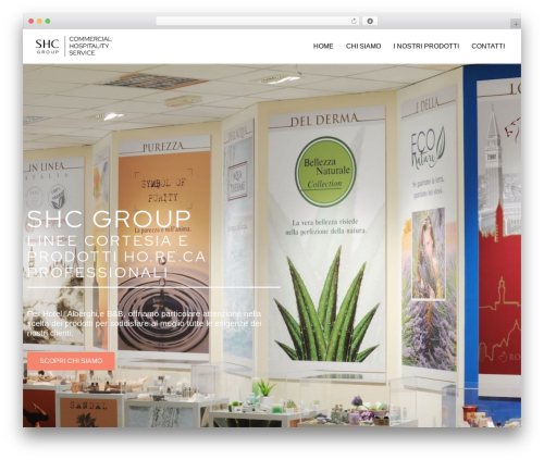 HT Newsletter for Elementor (ht-newsletter-for-elementor) free WordPress plugin - shcgroup.it