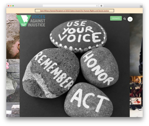 WordPress theme Pro - voicesagainstinjustice.org