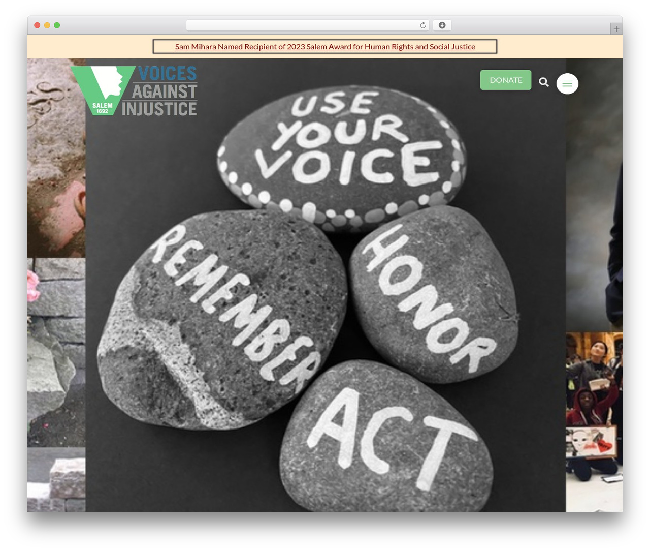 WordPress theme Pro - voicesagainstinjustice.org