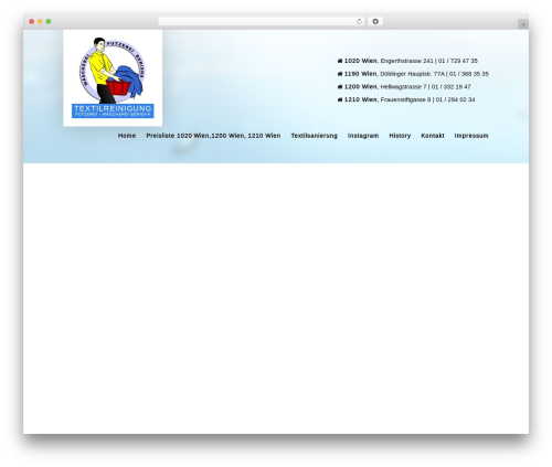 Ecowash WordPress theme - putzerei-berisha.at