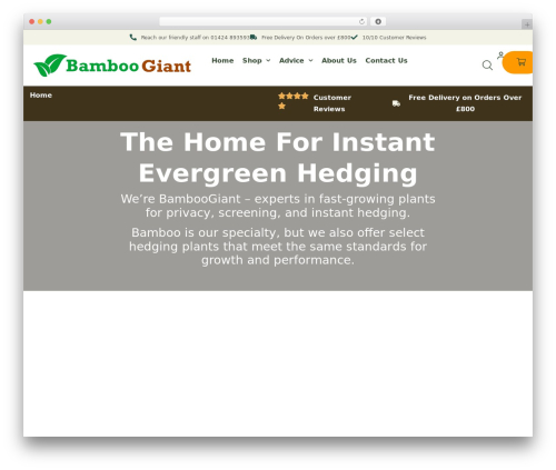 Sage pay server woocommerce premium WordPress plugin - www.bamboogiant.co.uk