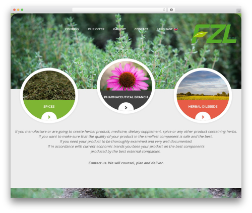 Theme WordPress Cherry Framework - fzl.com.pl