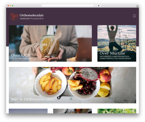 Theme WordPress OCH Wordpress Theme - och.nl