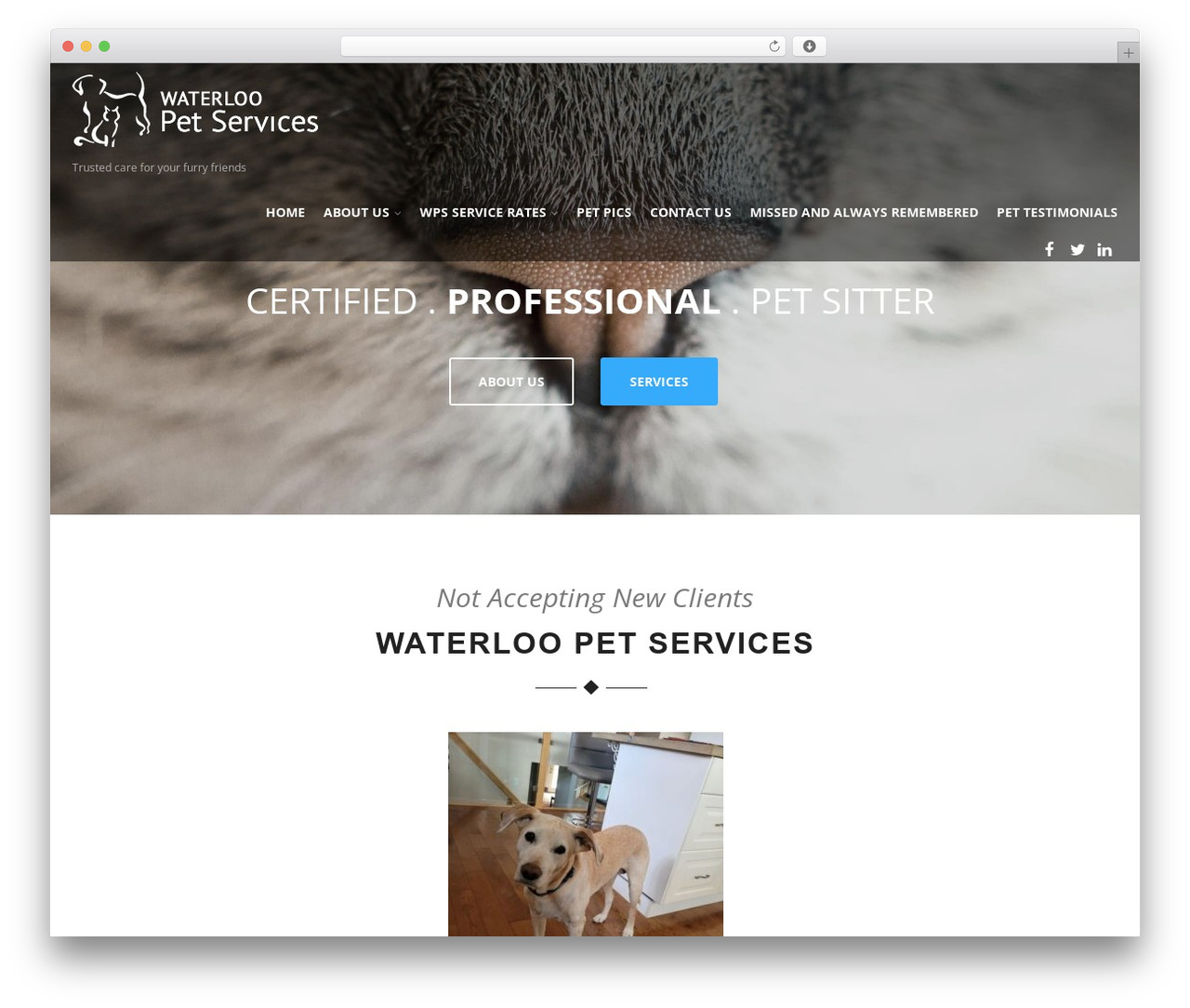 Theme WordPress Optimizer PRO - waterloopetservices.com