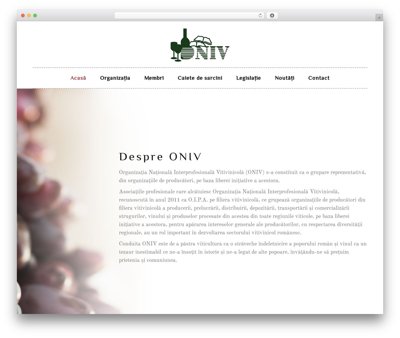Theme WordPress WineMaker - oniv.ro