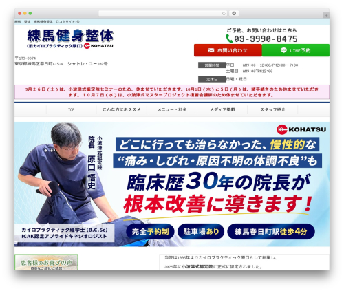 WordPress theme Selfull - chiro-haraguchi.com