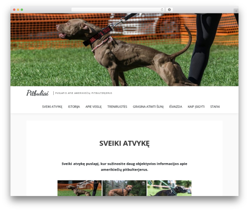 Amazorize theme WordPress - pitbuliai.lt