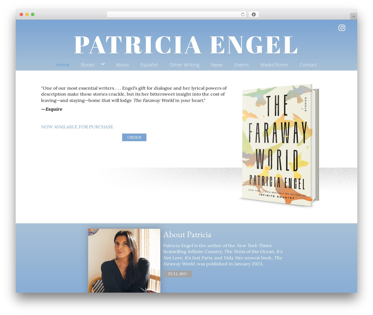 Beaver Builder Theme WordPress theme - patriciaengel.com
