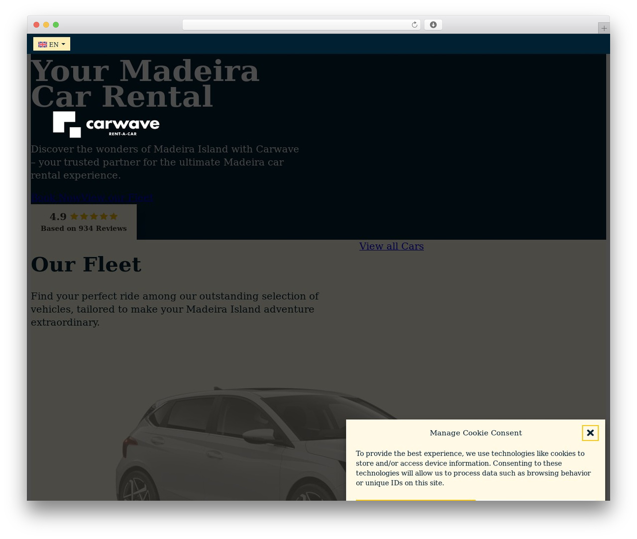 Bricks WordPress theme - carwavemadeira.com Bricks WordPress theme - carwavemadeira.com