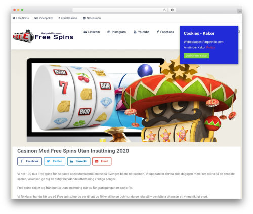 Custom Theme WordPress theme design - patpetrillo.com