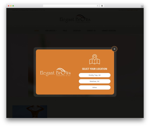 dreamspa WordPress theme - www.elegantbrows.com dreamspa WordPress theme - www.elegantbrows.com