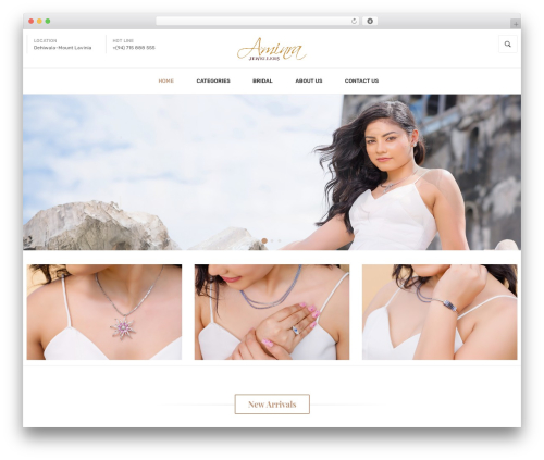 Order on chat for woocommerce WordPress plugin - www.aminra.com