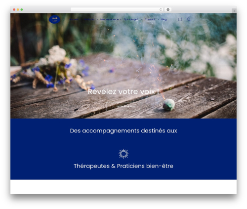 WordPress theme Massive Dynamic - holilab.com