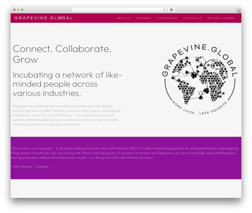 Astra theme WordPress - grapevine.global