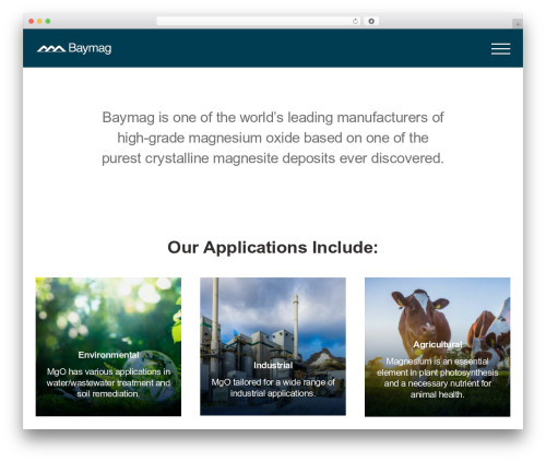Wp timeline designer pro WordPress plugin - baymag.com