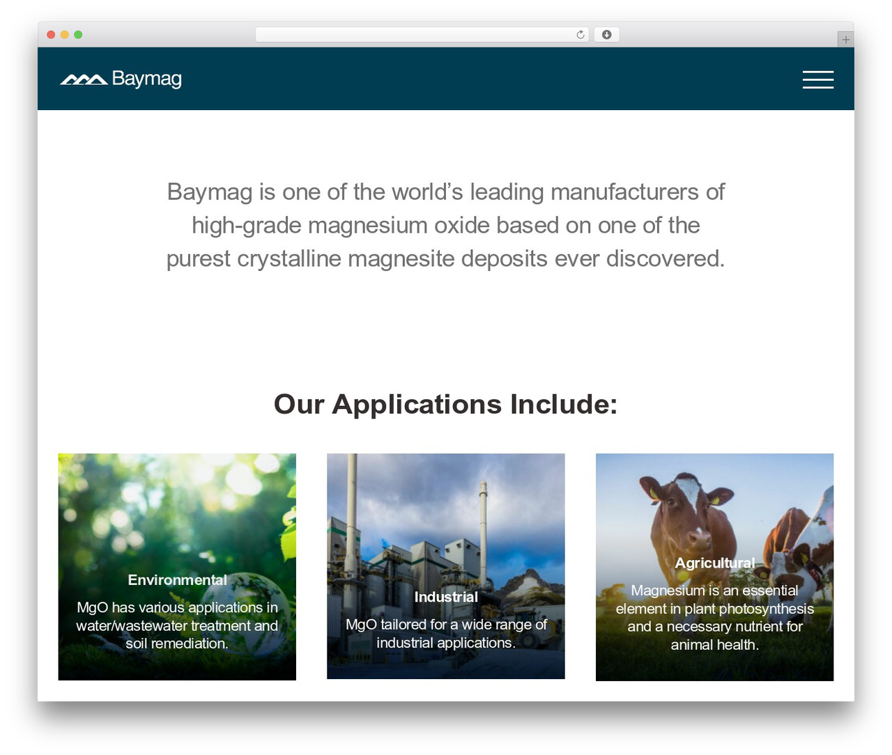 Avada Child WordPress theme - baymag.com