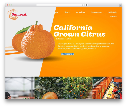 Header Footer for Beaver Builder (bb-header-footer) free WordPress plugin - suntreat.com Header Footer for Beaver Builder (bb-header-footer) free WordPress plugin - suntreat.com