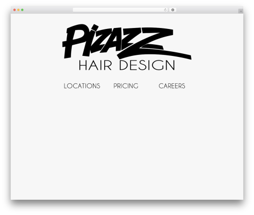 Enjoy instagram premium WordPress plugin - pizazzhairdesign.net