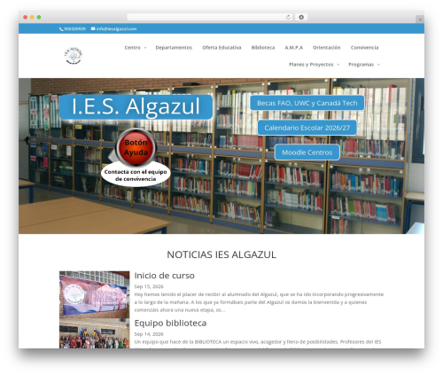 WordPress theme Divi - iesalgazul.com