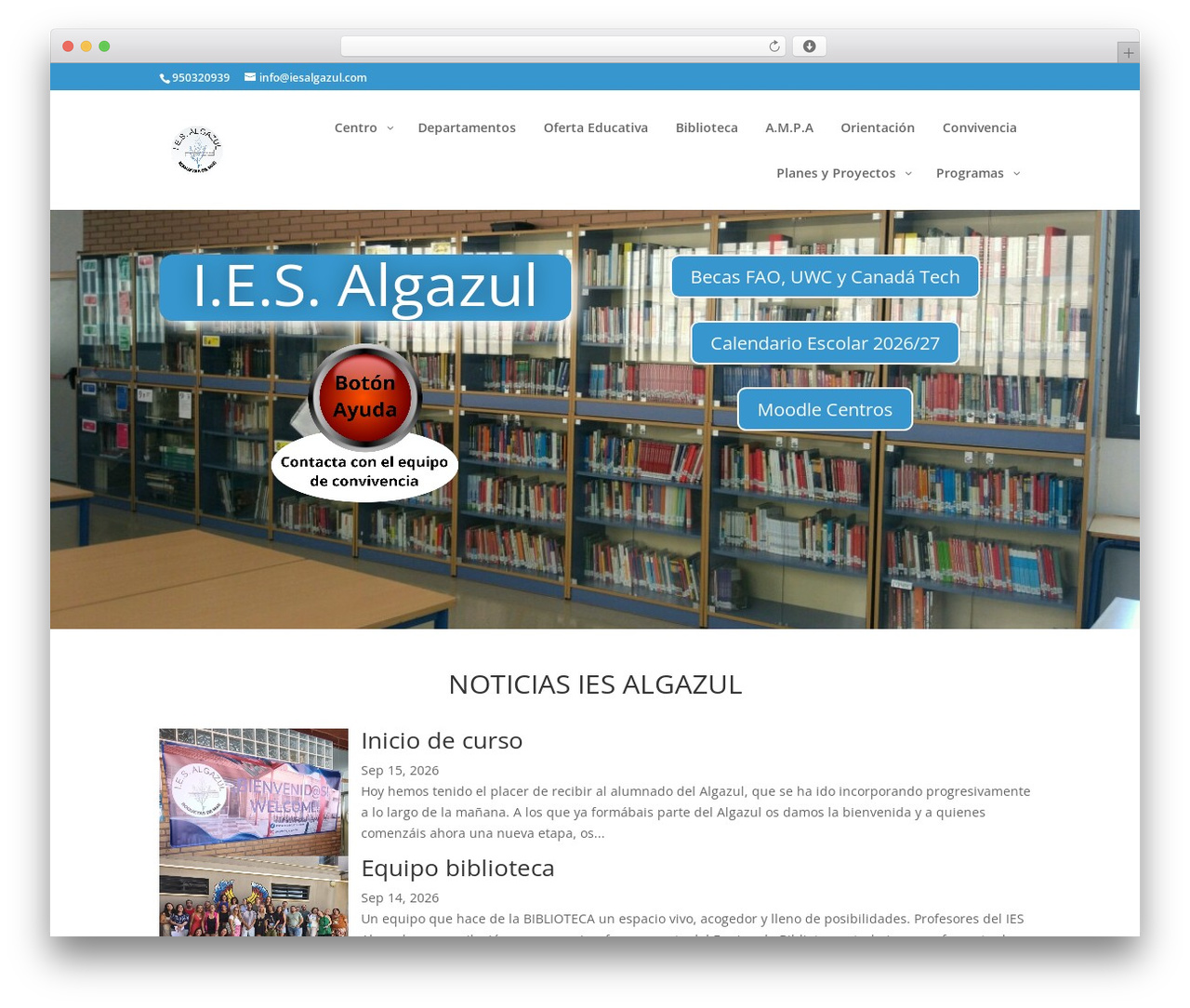WordPress theme Divi - iesalgazul.com