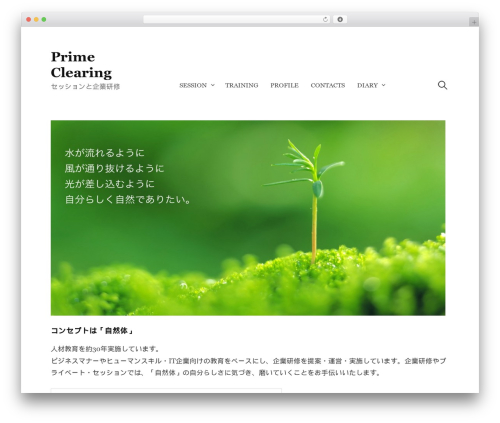 Write best WordPress theme - prime-clearing.com