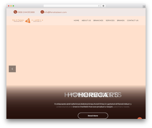 Zigcy Lite WordPress theme - fenatazieen.com