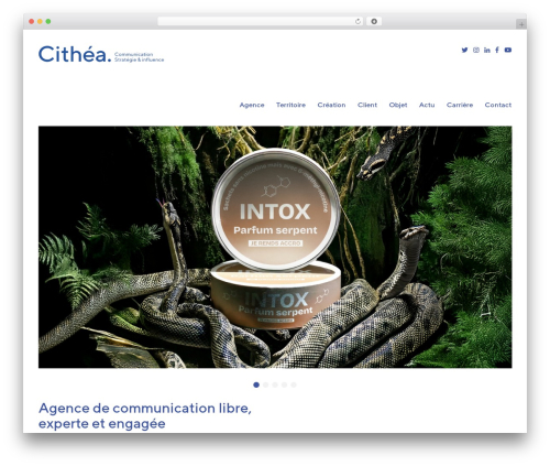 Flexible Map (wp-flexible-map) free WordPress plugin - cithea.com