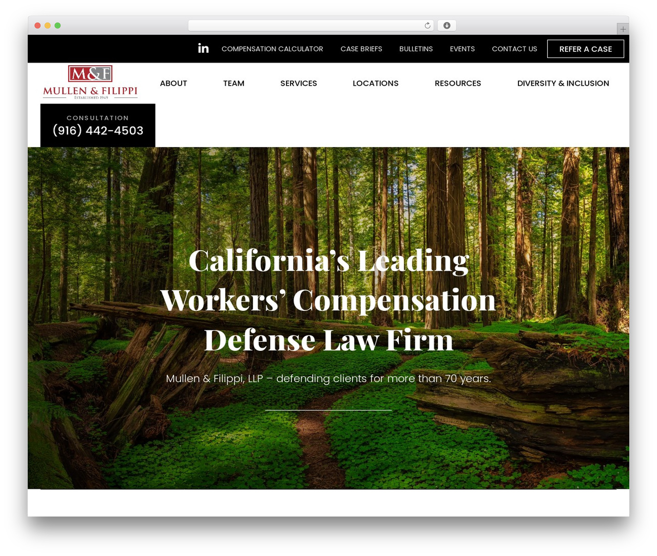 Mulfil Theme WordPress theme - mulfil.com