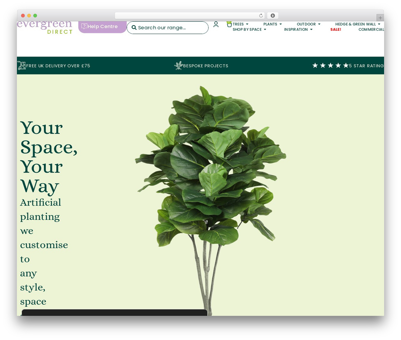 Hello Elementor Child WordPress theme - www.evergreendirect.co.uk
