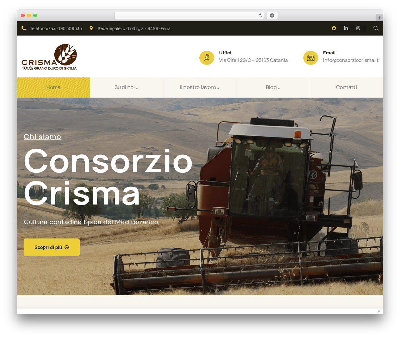 Orgarium Child WordPress theme - consorziocrisma.it