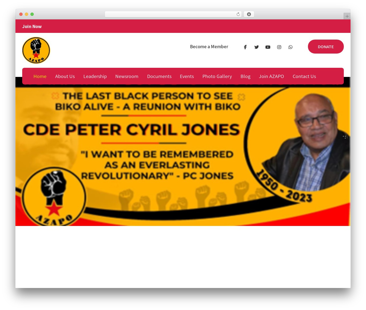 Polity Pro WordPress theme - azapo.org.za