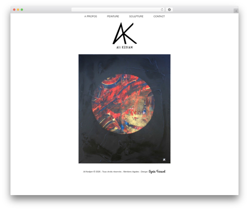 Ali WordPress theme - alikedjam.fr