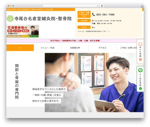 WordPress theme Selfull - teraodai-naguradou.com