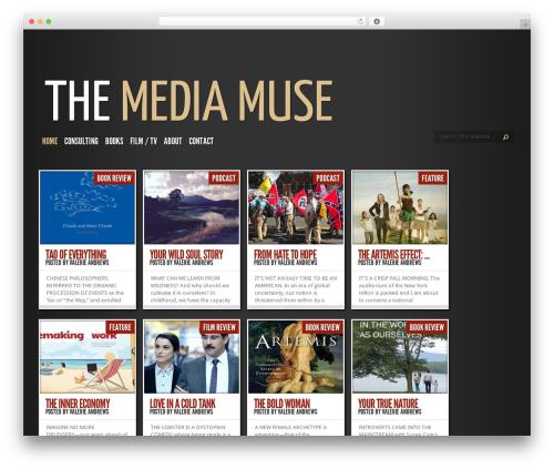 WordPress theme TheStyle - themediamuse.com
