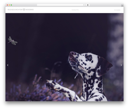 BuddyBoss Theme WordPress theme - bildgeschichtenakademie.de