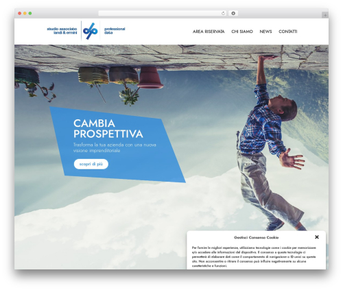 Divi theme WordPress - professionaldata.it