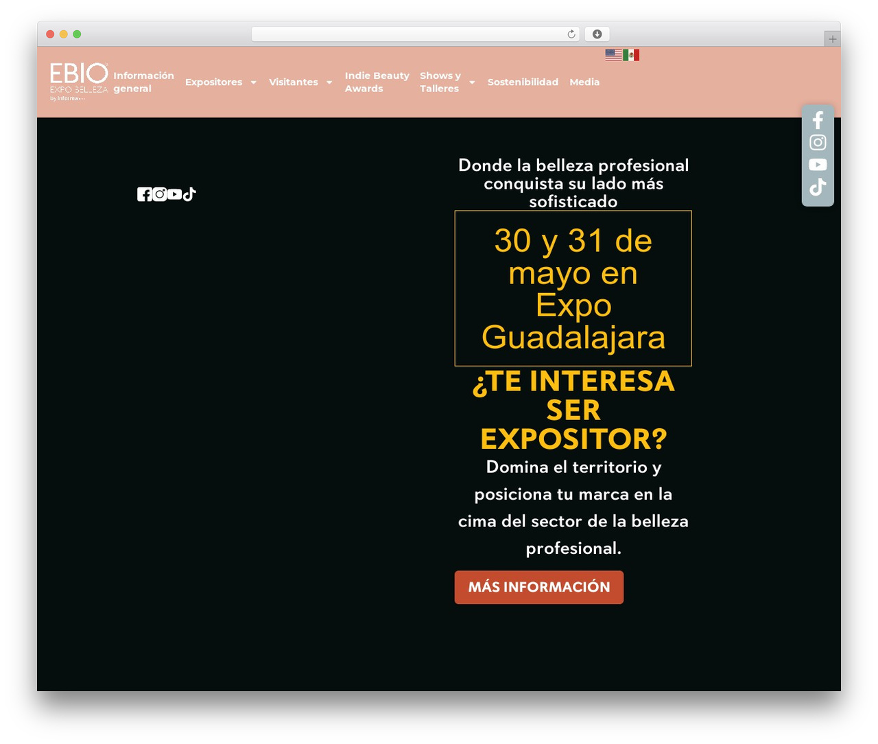 Hello Elementor WordPress theme - ebio.mx Hello Elementor WordPress theme - ebio.mx