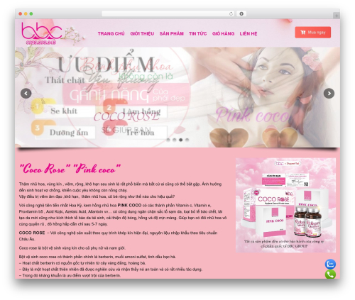 MegaStore WordPress shopping theme - bbcquocte.com