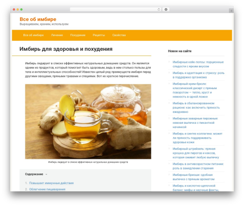 Above the fold optimization WordPress plugin - 1imbir.ru