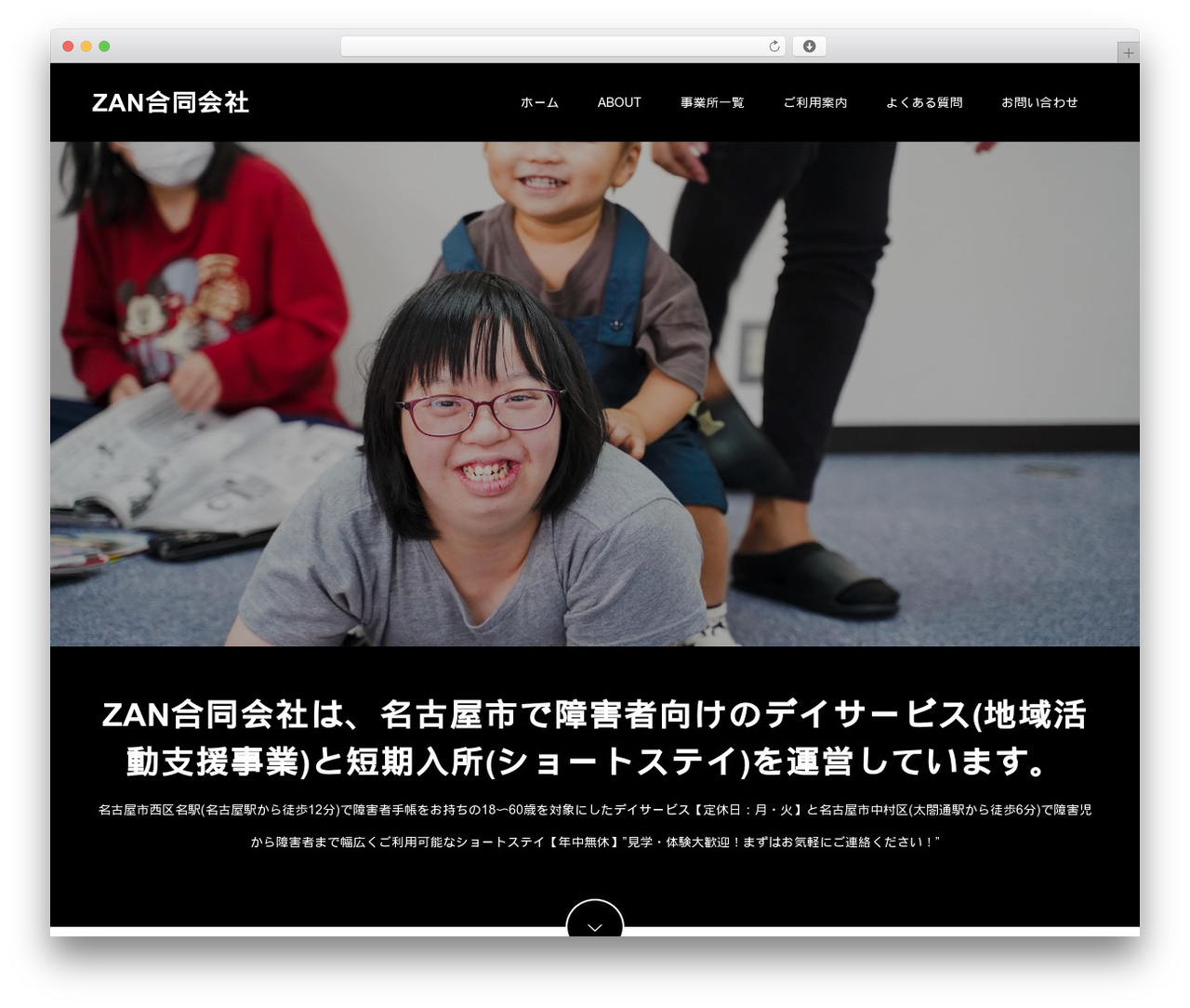 WordPress theme Switch - zan-llc.com