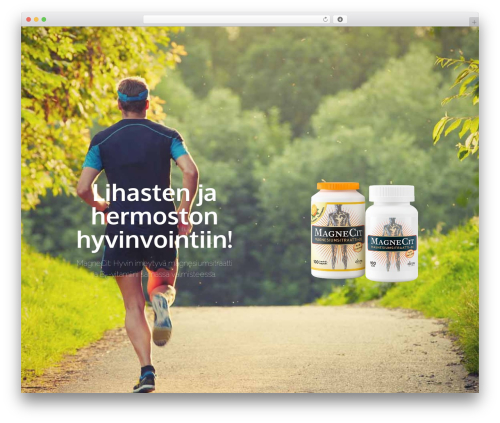 WordPress website theme Elementor Hello Theme - magnecit.com