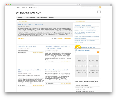 Alpha WordPress Theme WordPress theme - drbikash.com