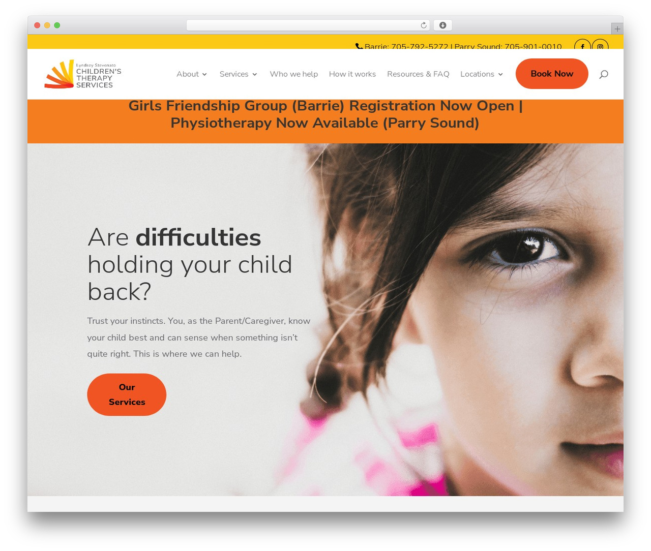 Vetcare theme WordPress - childrenstherapy.ca Vetcare theme WordPress - childrenstherapy.ca