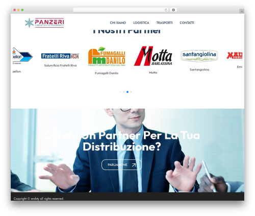 Endsty theme WordPress - panzerilogistica.com