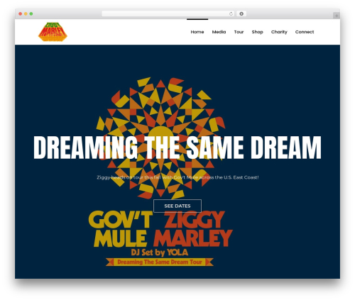 Better Bandsintown (better-bandsintown) free WordPress plugin - ziggymarley.com