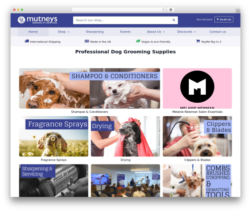 Mutneys theme WordPress - mutneys.com