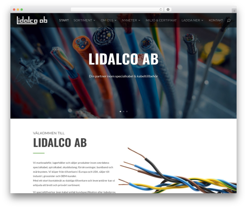WordPress theme Divi - lidalco.se