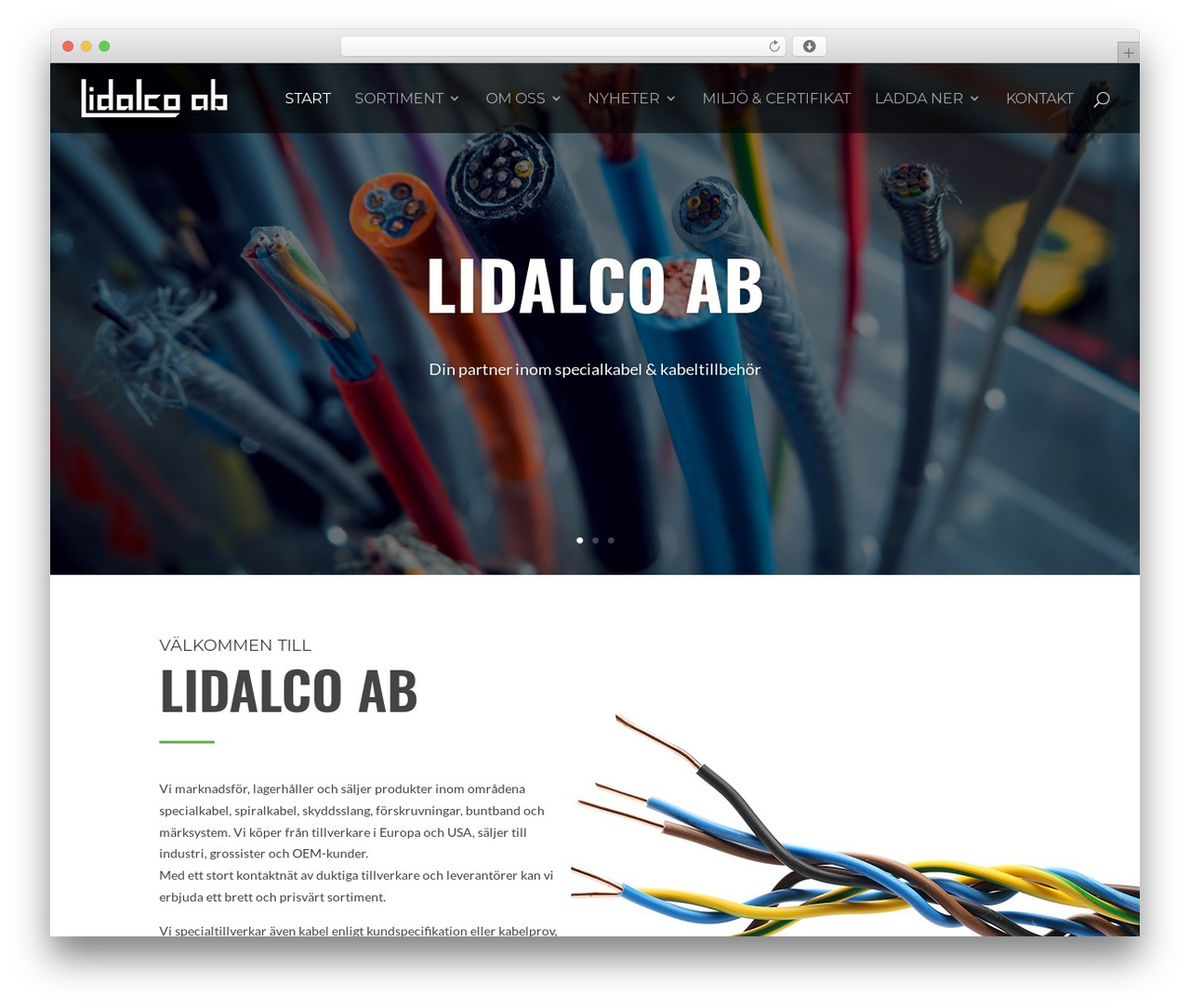 WordPress theme Divi - lidalco.se